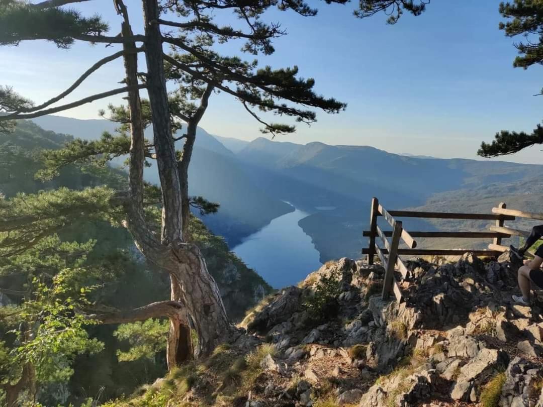 Villa Tarska Carolija Zaovine Popovići Exterior foto